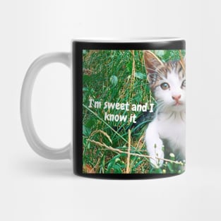 Kitten, I'm sweet and i know it Mug